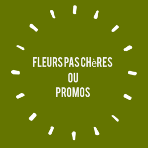 Fleurs pas chères ou Promos