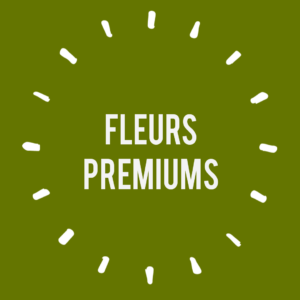 Fleurs PREMIUMS